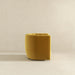 Delaney Mid-Century Modern Gold Velvet Swivel Accent Chair | Ashcroft Imports Furniture
