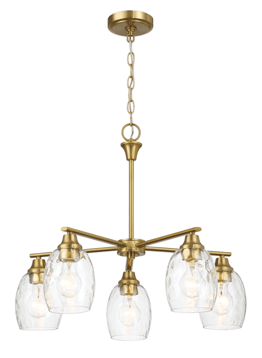 Elegance Five Lights Linear Arms with Golden Brass Finish Chain Chandelier 24"W × 8.5"H with Clear Water Glass - West Lamp