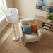 Nimbus Floor Lamp | Brushed Nickel & Clear Glass Body